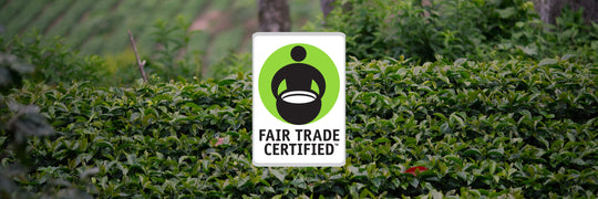 Fair Trade Forever - Equator Coffees