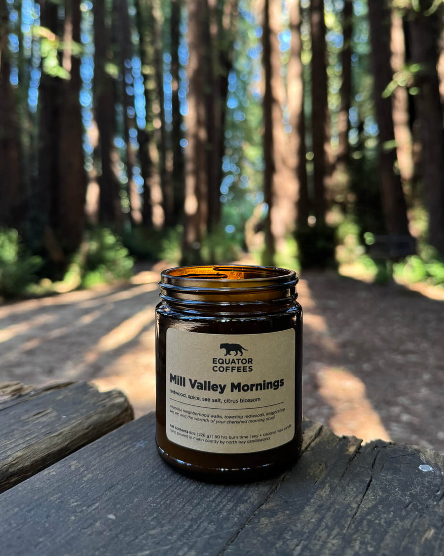 Mill Valley Mornings Candle