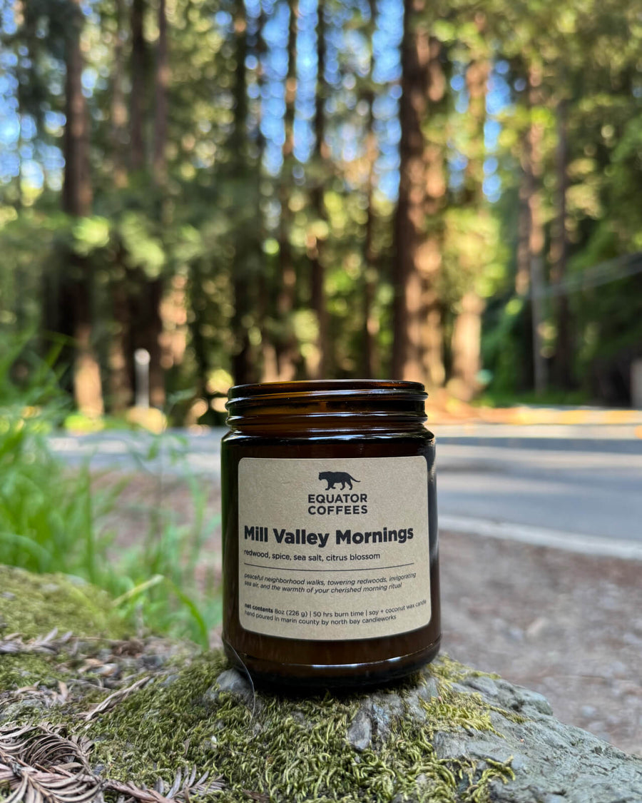 Mill Valley Mornings Candle