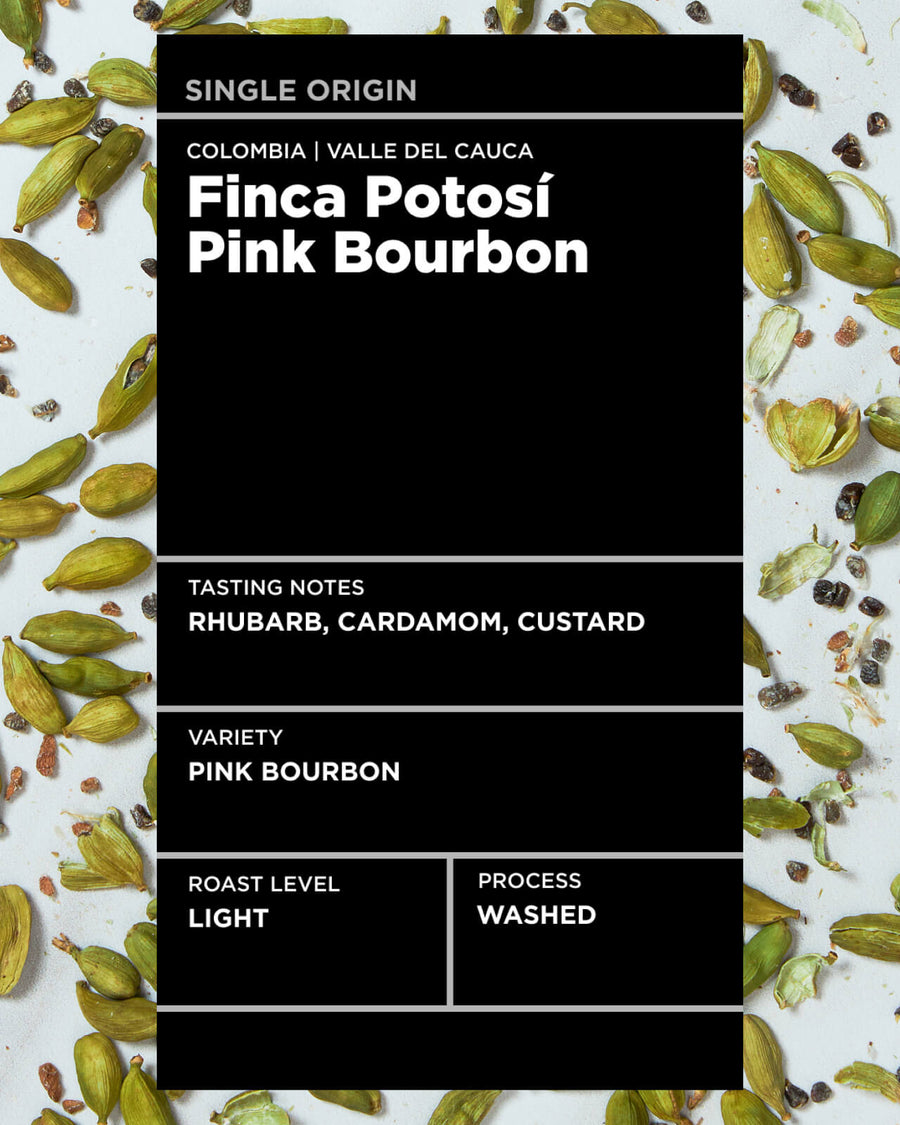 Colombia Finca Potosí Pink Bourbon