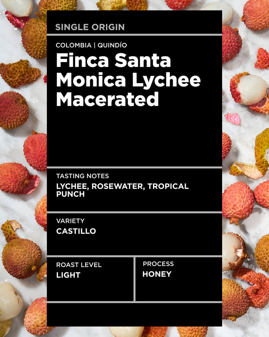 Colombia Finca Santa Monica Lychee Macerated | Macerated Coffee | Lychee Coffee | Quindio Coffee | Single Origin Light Roast Coffee | Equator Coffees