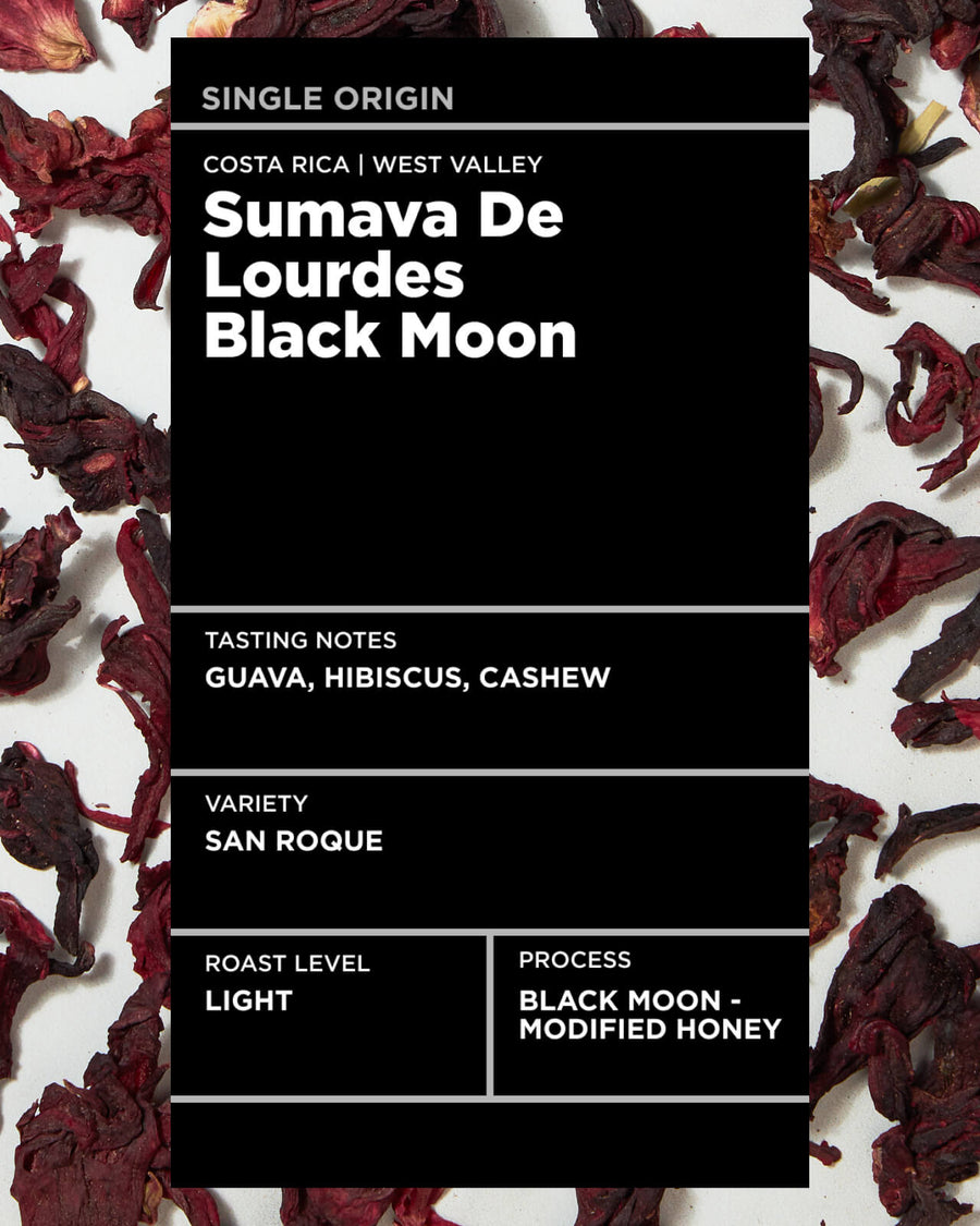 Costa Rica Sumava de Lourdes Black Moon