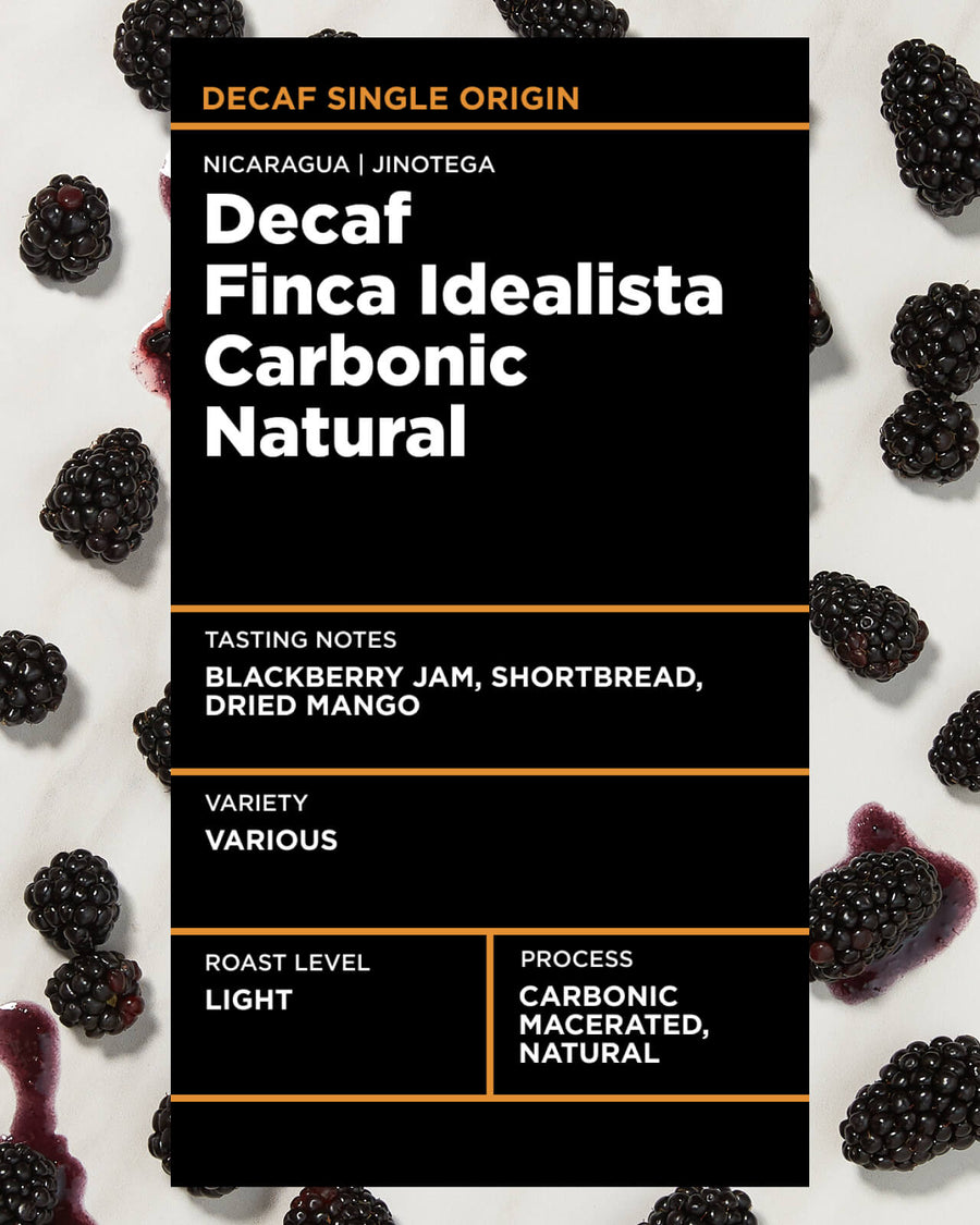 Decaf Nicaragua Finca Idealista Carbonic Natural | Carbonic Macerated Coffee | Natural Decaf Coffee | Chemical Free Decaf | Swiss Water Decaf | Light Roast Decaf Coffee | Equator Coffees