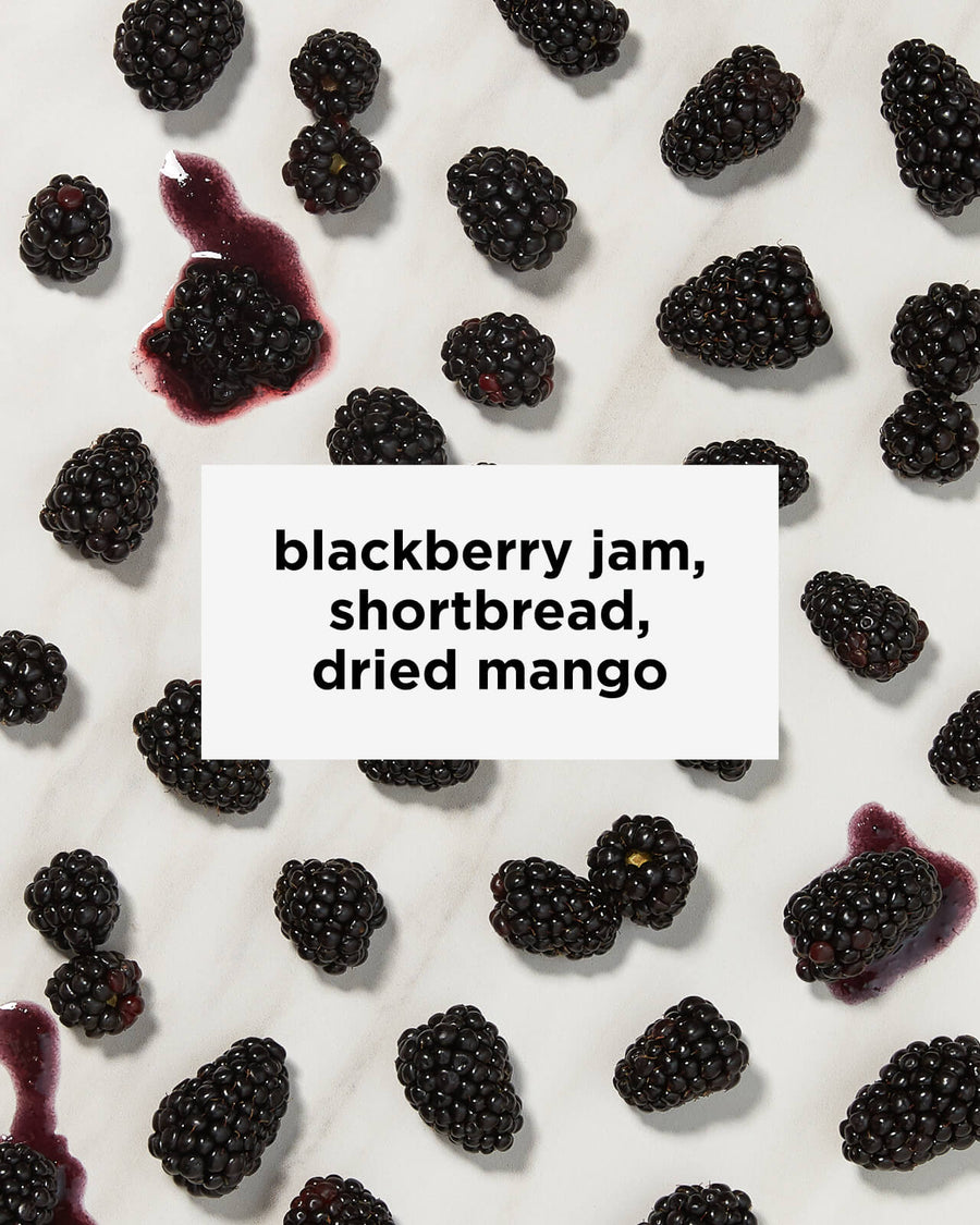 Decaf Nicaragua Finca Idealista Carbonic Natural | Carbonic Macerated Coffee | Natural Decaf Coffee | Chemical Free Decaf | Swiss Water Decaf | Tastes like blackberry jam, shortbread, dried mango | Equator Coffees