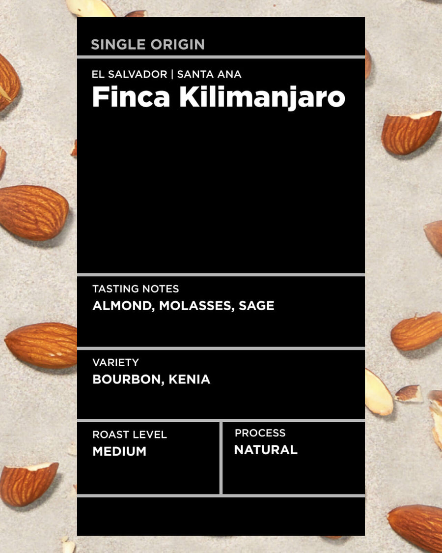 El Salvador Finca Kilimanjaro Natural