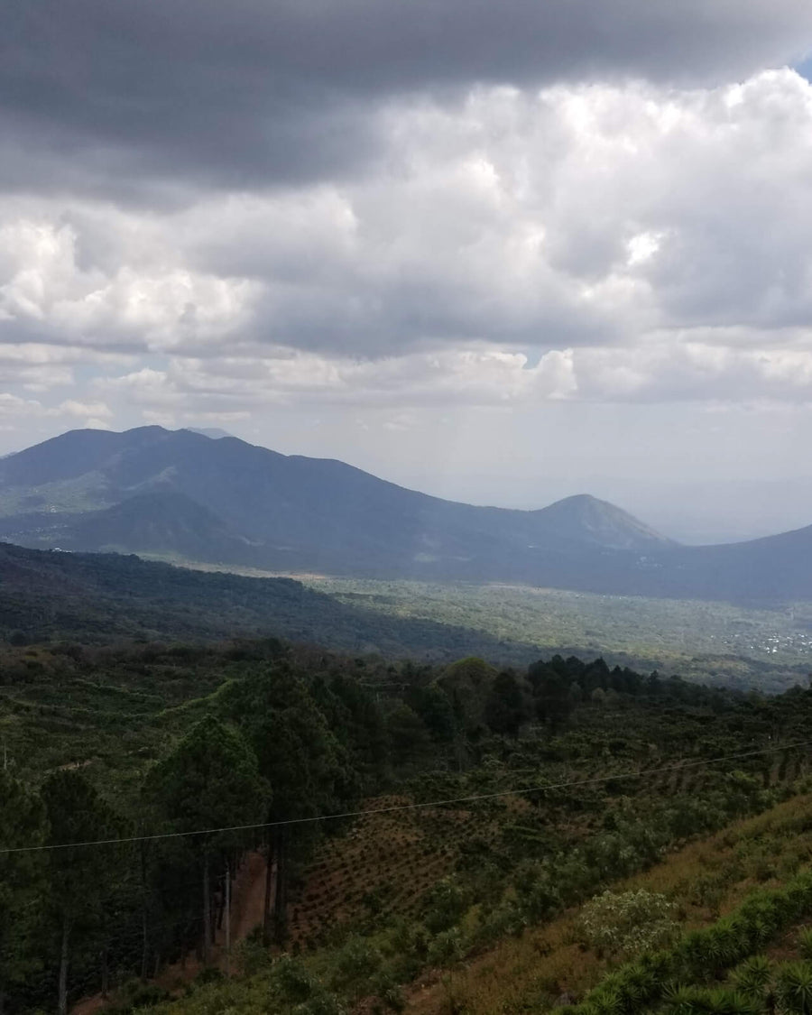 Farmland and mountains at Los Pirineos in El Salvador | Equator Coffees