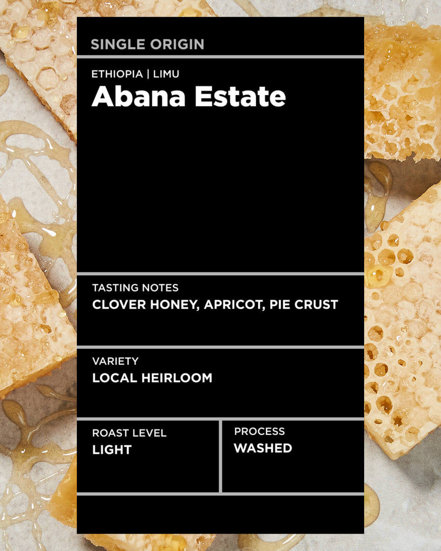 Ethiopia Abana Estate