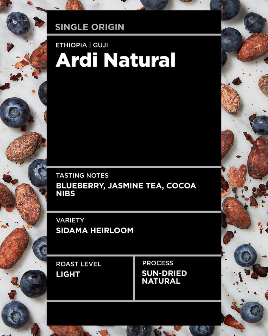 Ethiopia Ardi Natural Coffee | Ethiopia Sidama Ardi | Single-Origin Coffee | Ethiopia Coffee | Coffee from Ethiopia | Natural Process Coffee | Ethiopia Natural Process | Light Roast Single Origin Coffee | Equator Coffees