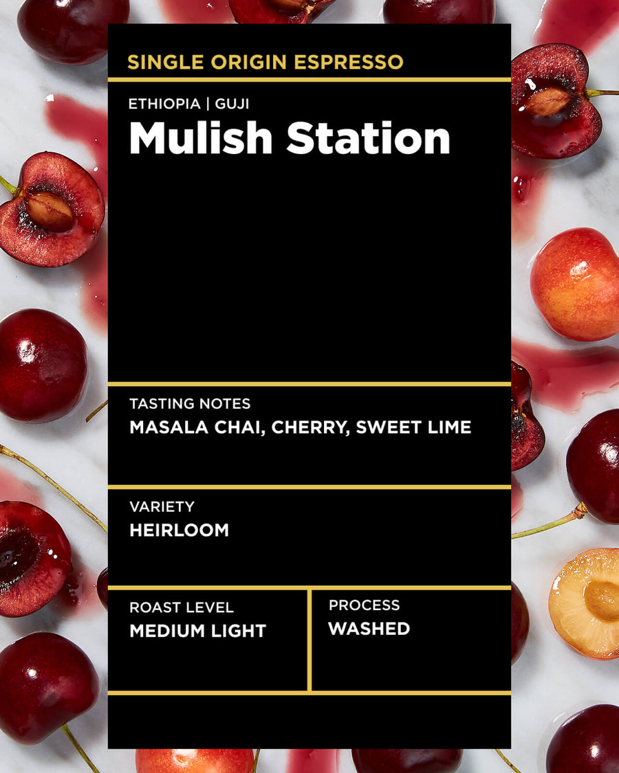 Ethiopia Mulish Single Origin Espresso | Ethiopia Coffee | Ethiopia Espresso | Guji Coffee | Guji Espresso | Medlium Light Roast Espresso | Equator Coffees