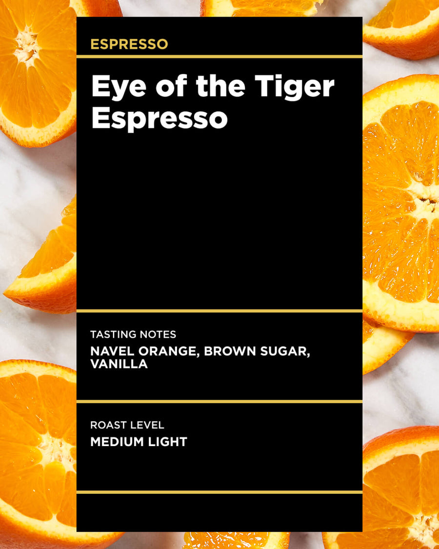 Eye of the Tiger Espresso | Seasonal Espresso | Fruity Espresso | Medium Light Roast Espresso | Equator Coffees