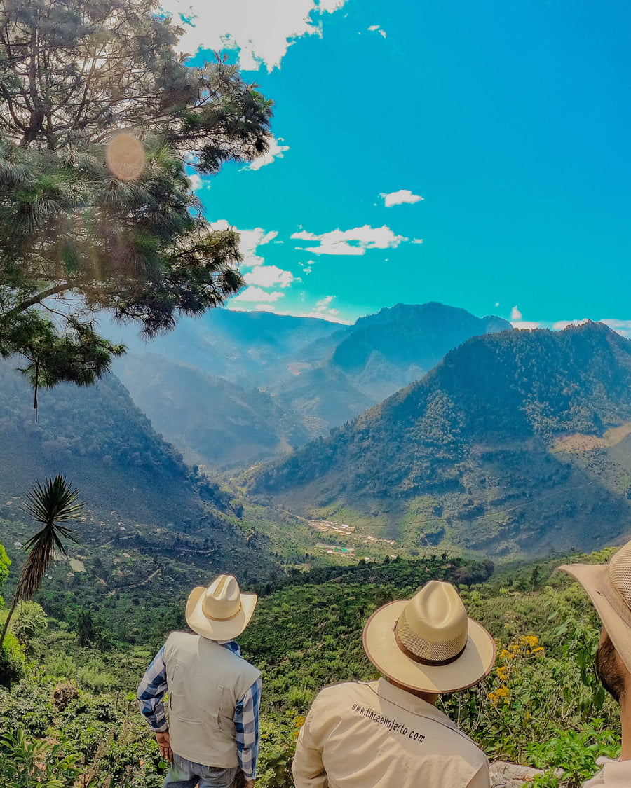 Farmland and mountains of El Injerto in Guatemala | Equator Coffees