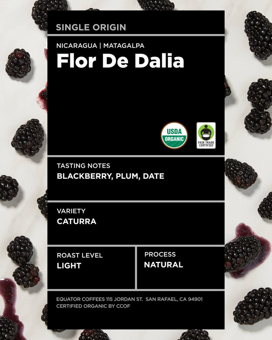 Nicaragua Flor de Dalia Natural | Natural-Process Coffee | Flor de Dalia Coffee | Fair Trade Coffee | Organic Coffee | Nicaragua Coffee | Light Roast Single Origin Coffee | Equator Coffees