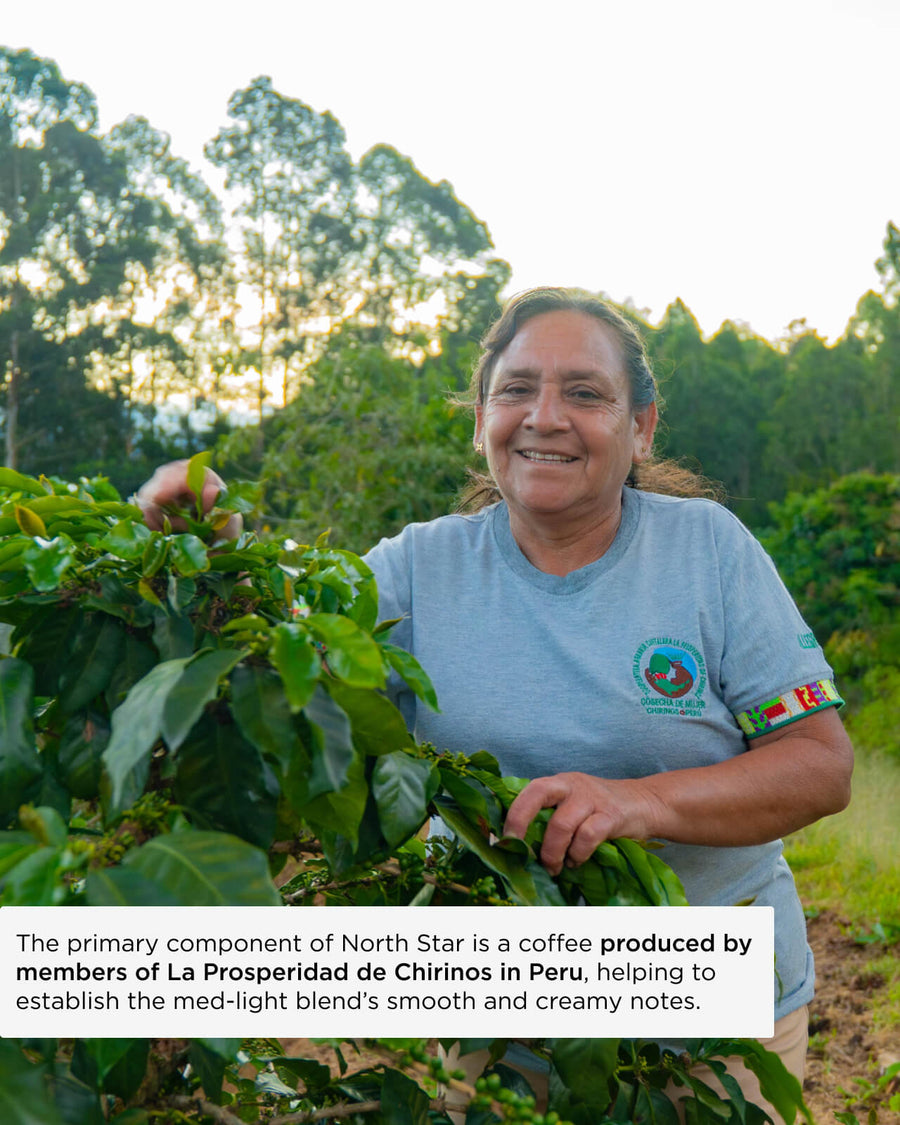 North Star Blend | The primary component of North Star is a coffee produced by the members of La Prosperidad de Chirinos in Peru, helping to establish the med-light blend's smooth and creamy notes | Equator Coffees