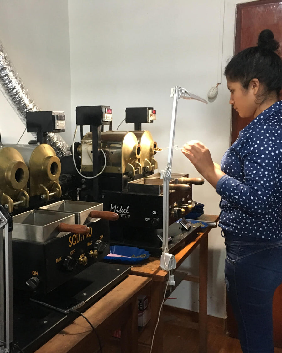 Test coffee roasting at Prosperidad de Chirinos in Peru | Equator Coffees