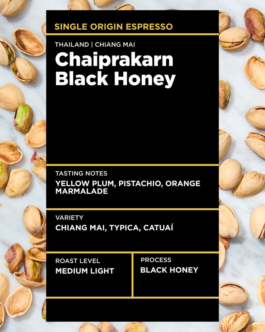 Thailand Chaiprakarn Black Honey Coffee is a medium light roast espresso | Equator Coffees